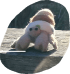 やどかりフェルト